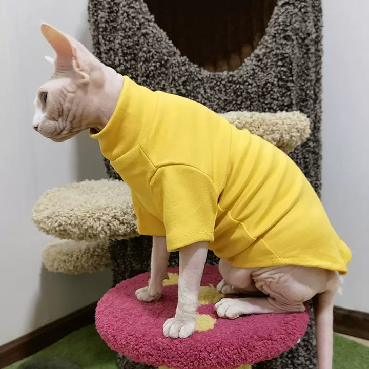 Essential Highneck Sphynx Cat Sweaters