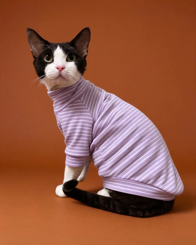 Sphynx cat wearing striped turtleneck sweater