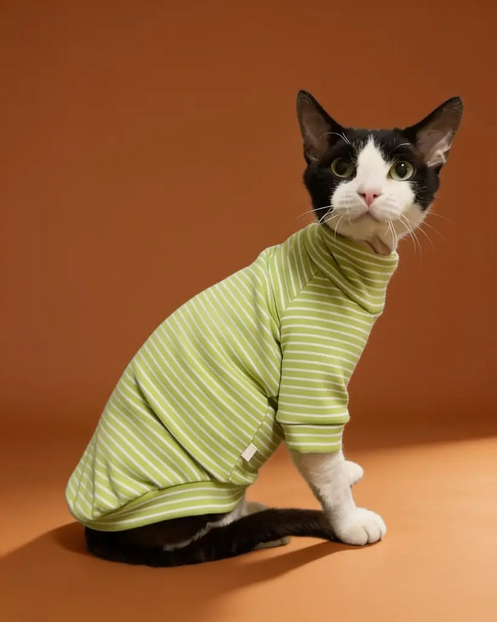 Sphynx cat wearing striped turtleneck sweater