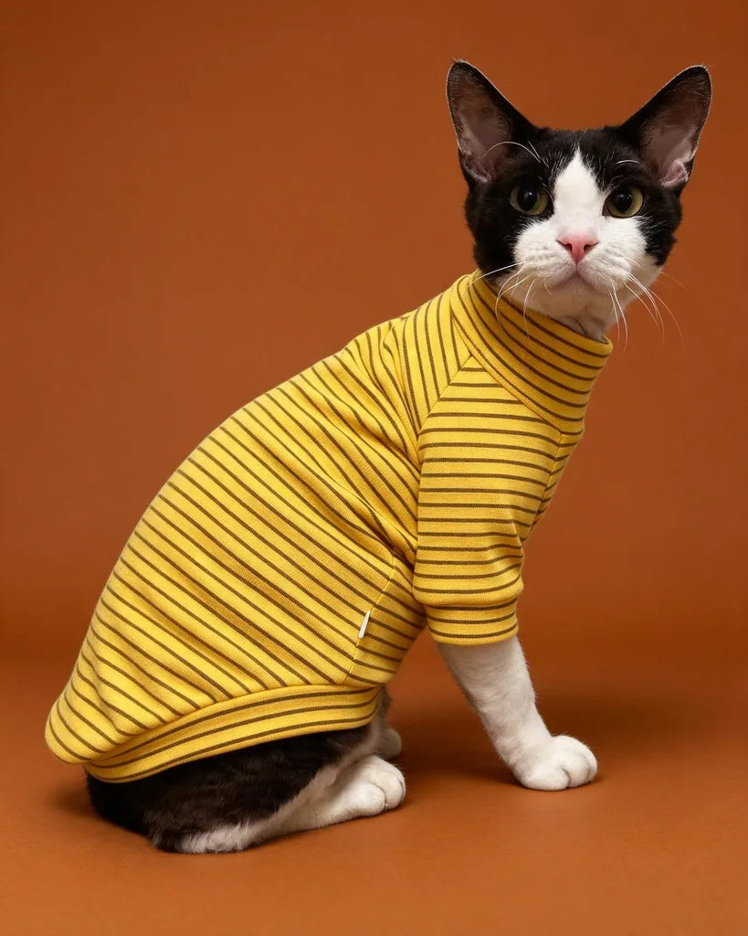 Pet Clothings