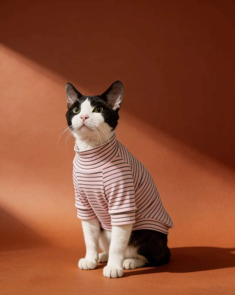 Sphynx cat wearing striped turtleneck sweater