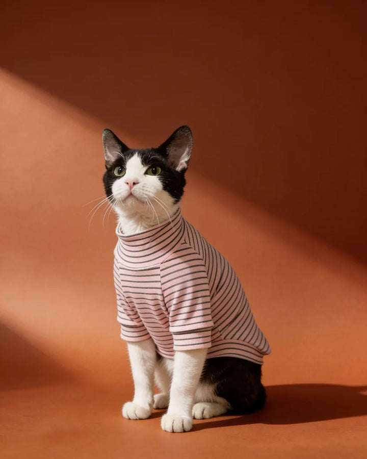 Sphynx cat wearing striped turtleneck sweater