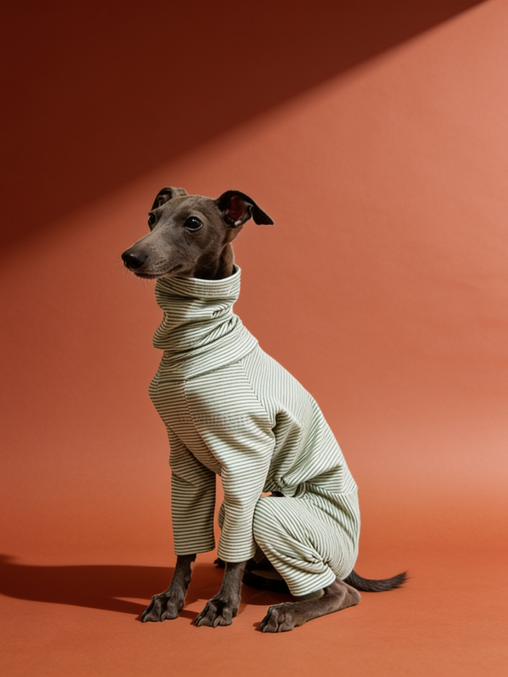Pencil Stripes Highneck Base Top Iggy and Whippet Onesies