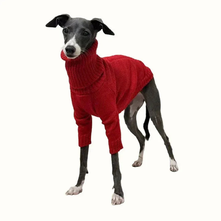 Chic Red Turtleneck Knitted Sweater for Italian Greyhound and Whippet CityBear