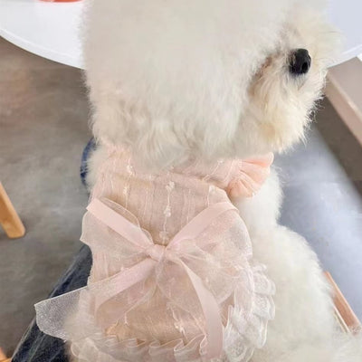 chiffon princess dress puppy cute dress