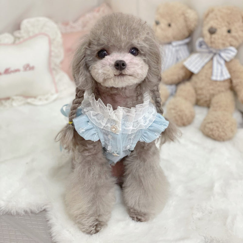 chiffon princess dress small dog clothes