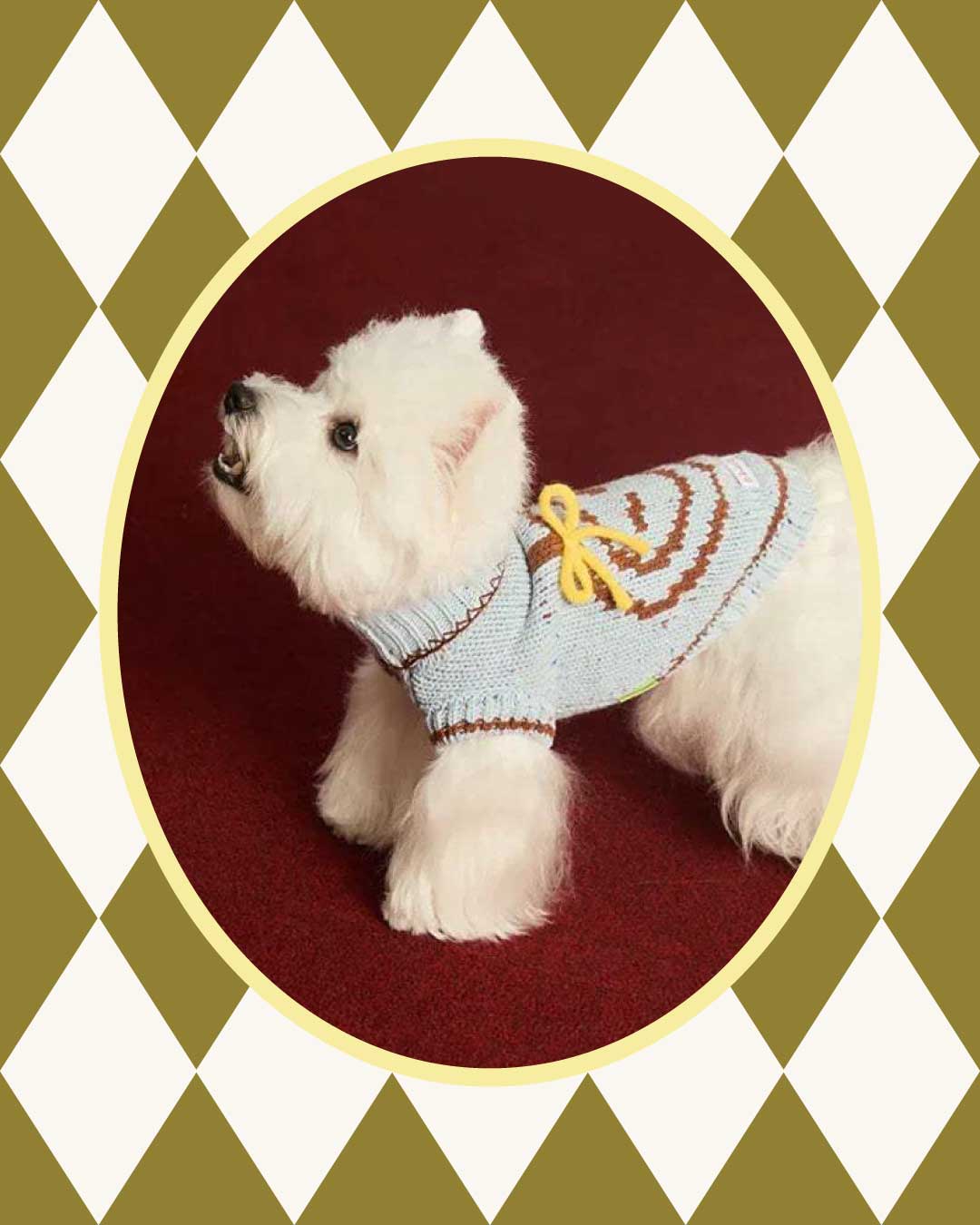 A small white West Highland Terrier wearing Apple Bite Pet and Owner Matching Sweater in light blue.