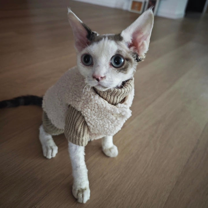 Classic Fleece Cat Jacket Sphynx Sweater