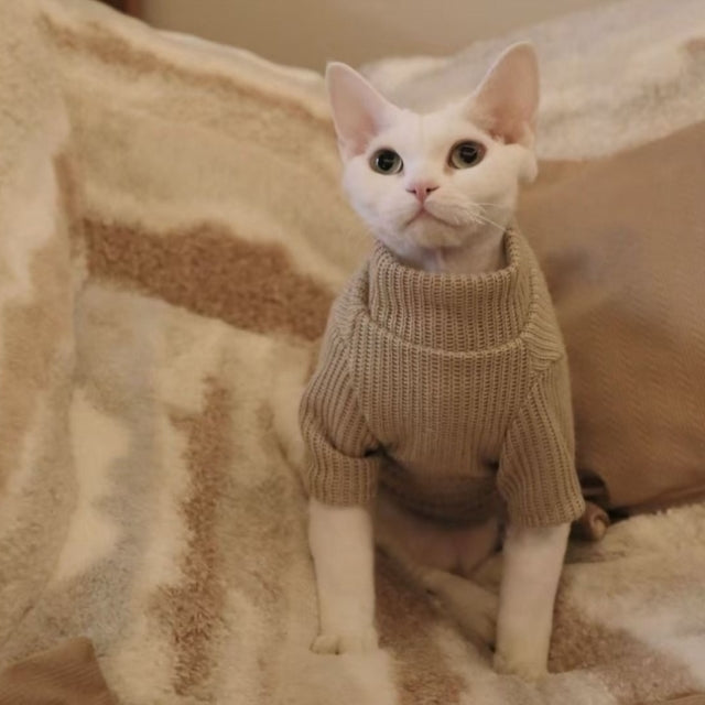 Classic Fleece Cat Jacket Sphynx Sweater