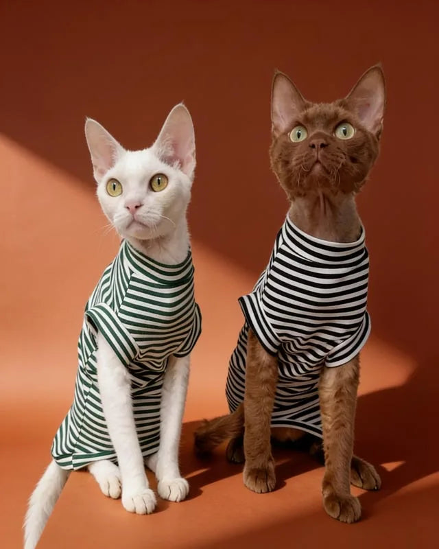 Classic Stripe Sleeveless Sphynx Cat Tee Shirt CityBear