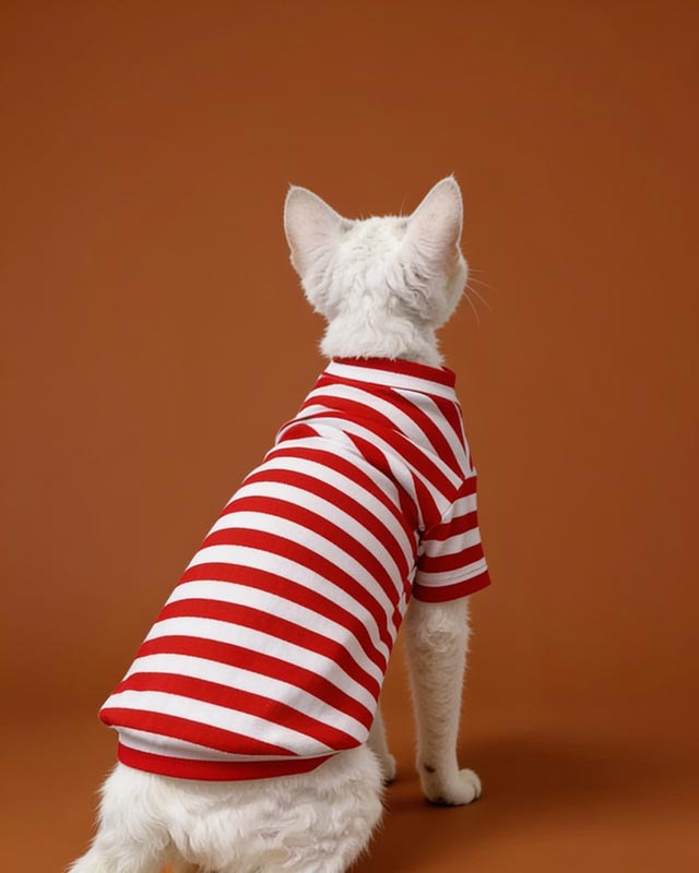 Classic Striped Sphynx Cat Tee Shirt CityBear