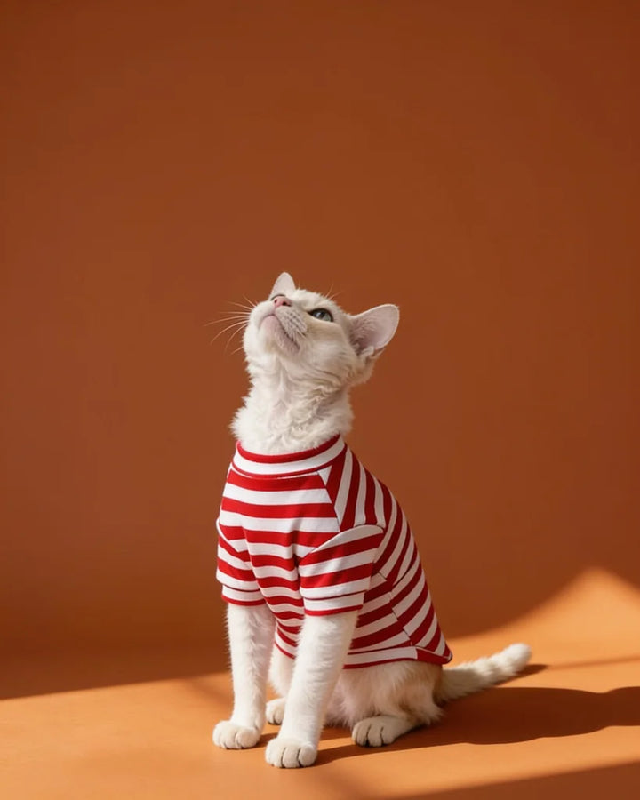 Classic Striped Sphynx Cat Tee Shirt CityBear