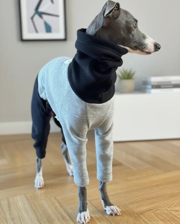 Color Block Fleece Lined Onesies for Italian Greyhound and Whippet