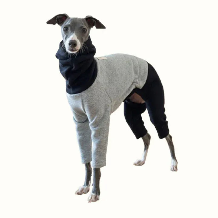 Color Block Fleece Lined Onesies for Italian Greyhound and Whippet