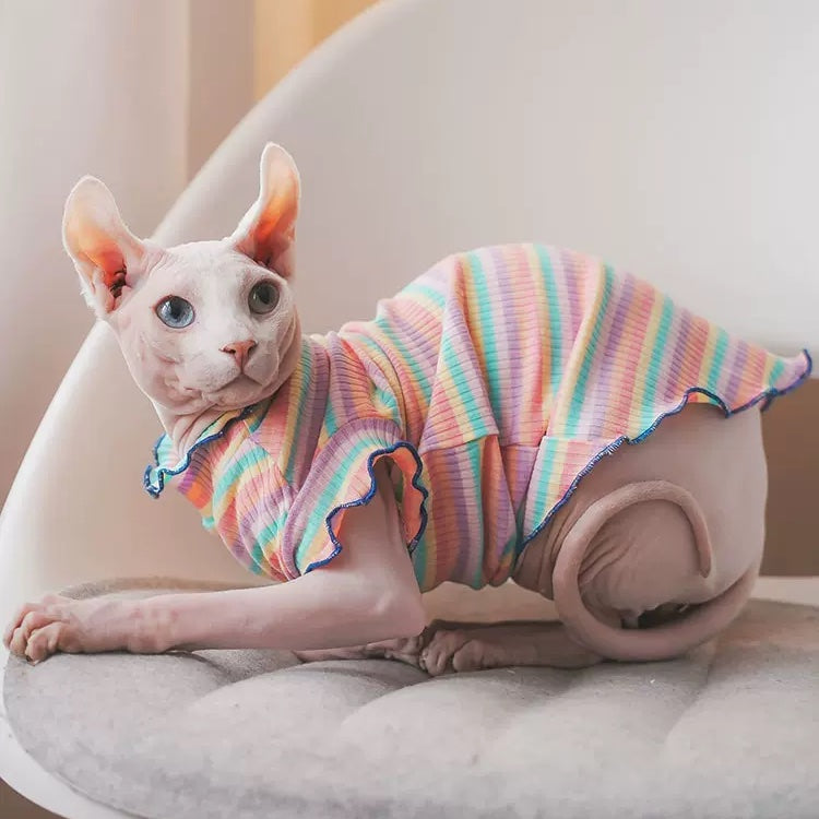 Rainbow Stripes Ruffle Edge Sphynx Cat Shirt