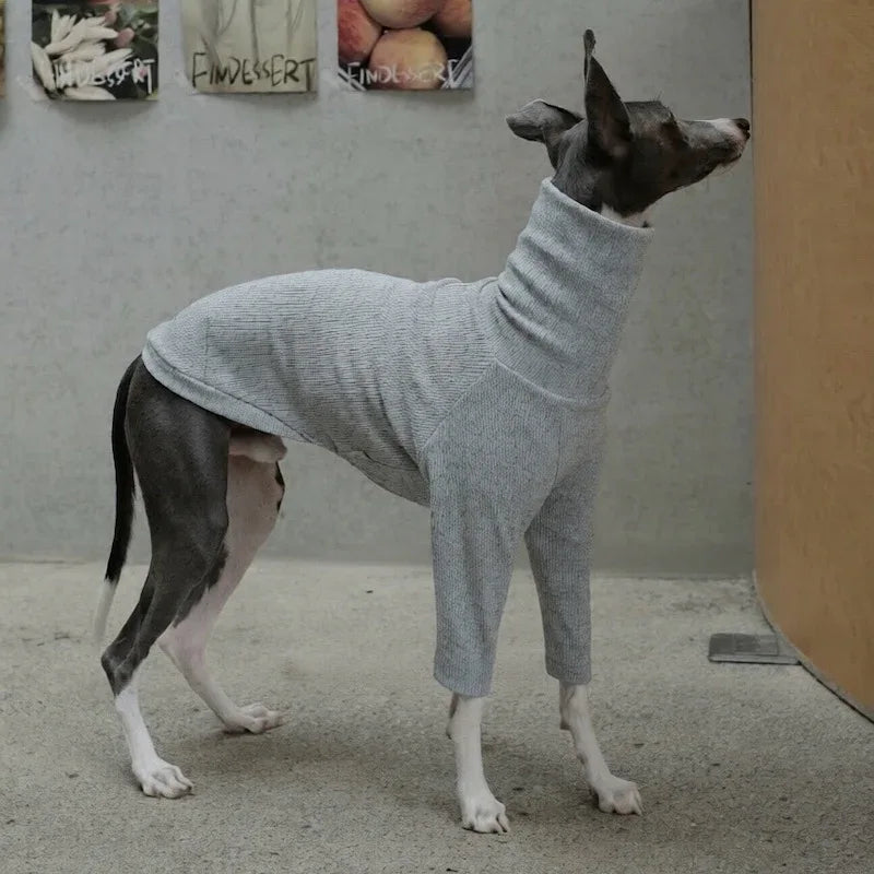 Highneck Slim Fit Base Sweater for Italian Greyhound and Whippet