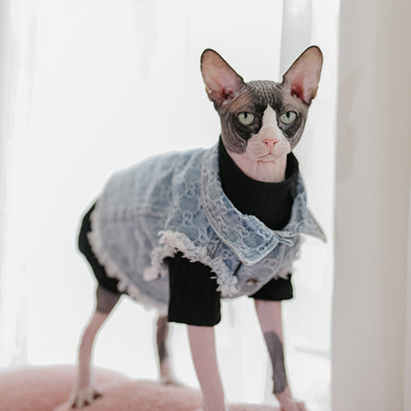 Vintage Denim Vest Sphynx Cat Denim Jacket