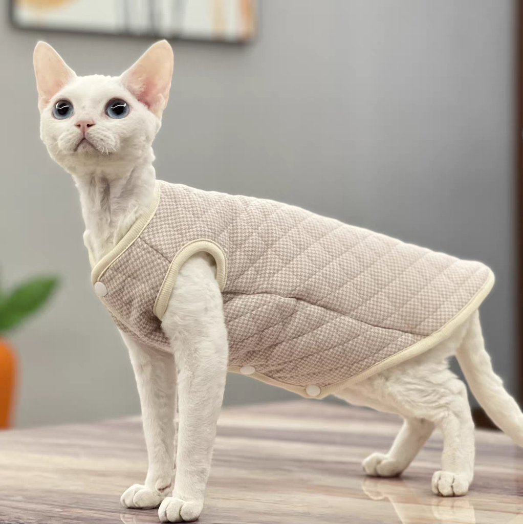 Diamond Quilted Vest Sphynx Cat Jacket