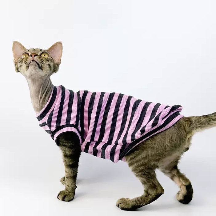 Stripes Sphynx Cat Tank Tops