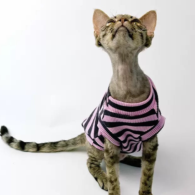 Stripes Sphynx Cat Tank Tops