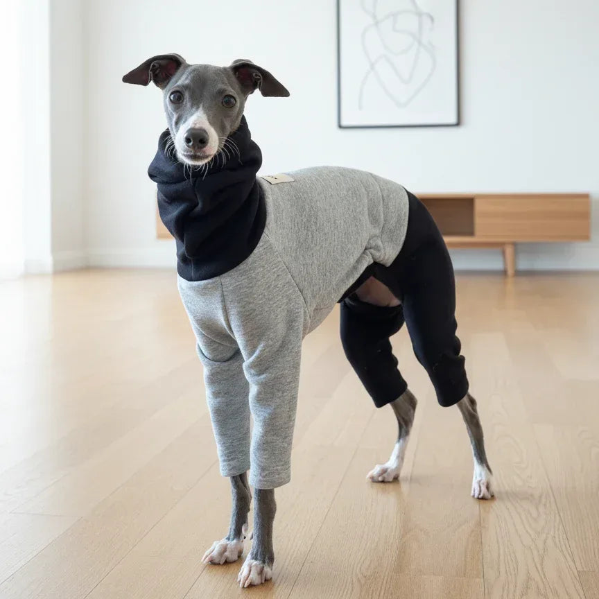Color Block Fleece Lined Onesies for Italian Greyhound and Whippet