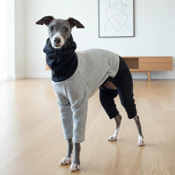 Color Block Fleece Lined Onesies for Italian Greyhound and Whippet