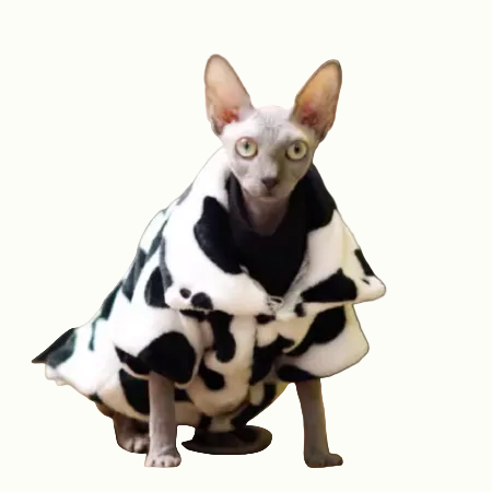 Cow-Print Fleece Sphynx Coat