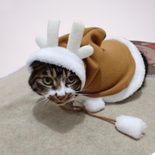 Cozy & Festive Pet Capes