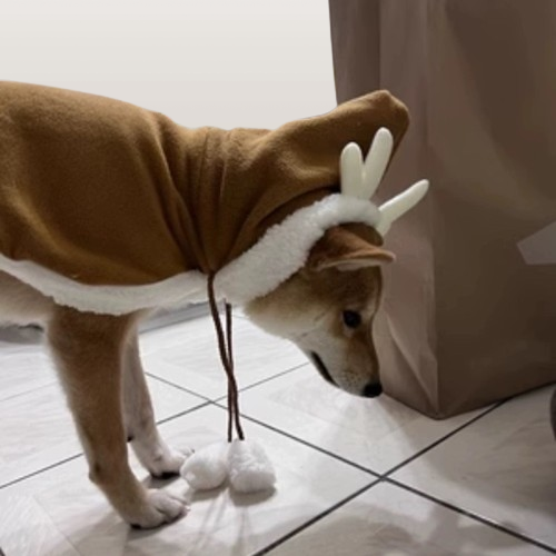 Cozy & Festive Pet Capes