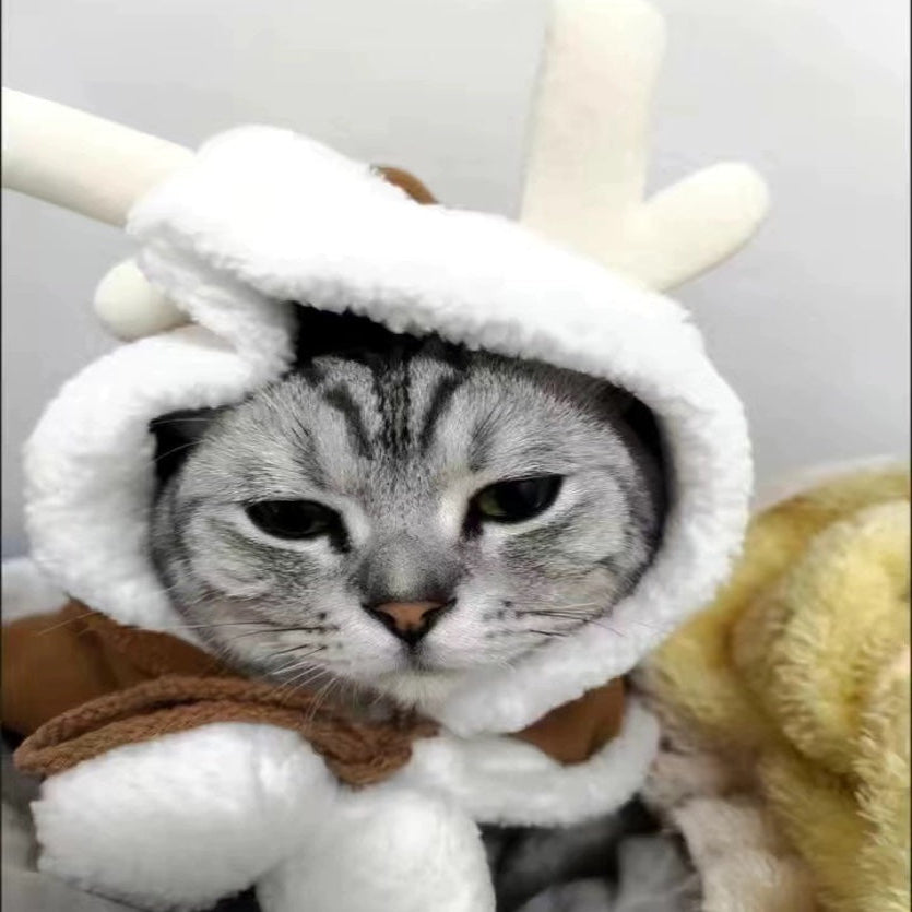 Cozy & Festive Pet Capes