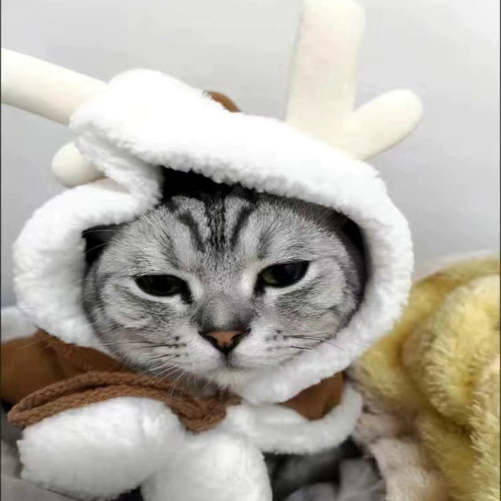 Cozy & Festive Pet Capes