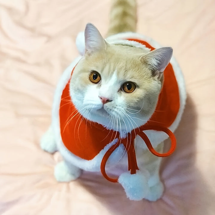 Cozy & Festive Pet Capes