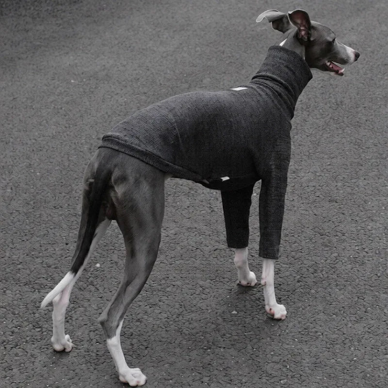Highneck Slim Fit Base Sweater for Italian Greyhound and Whippet