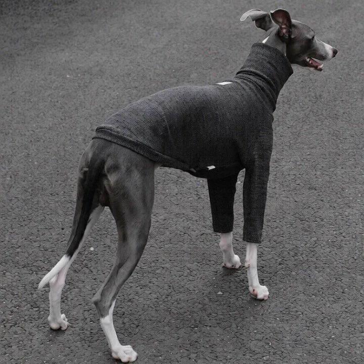 Highneck Slim Fit Base Sweater for Italian Greyhound and Whippet