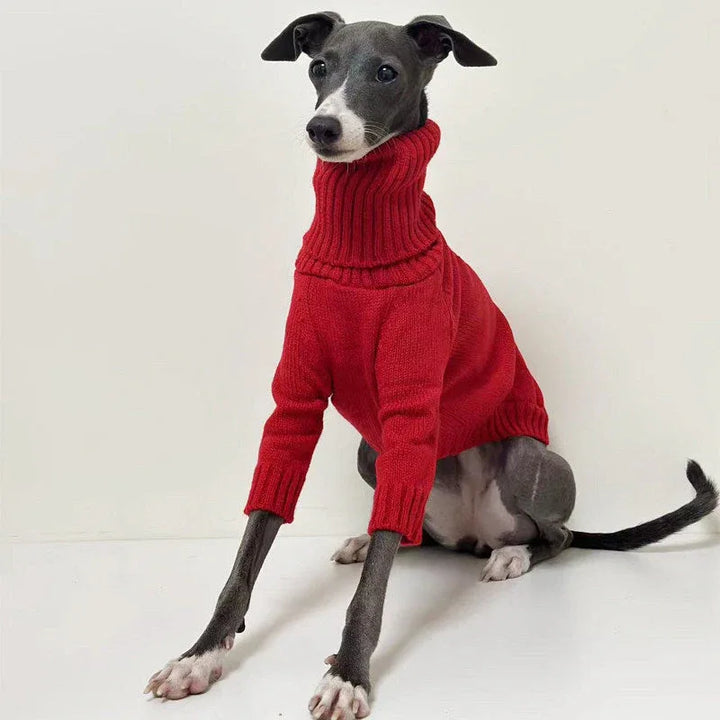 Chic Red Turtleneck Knitted Sweater for Italian Greyhound and Whippet CityBear