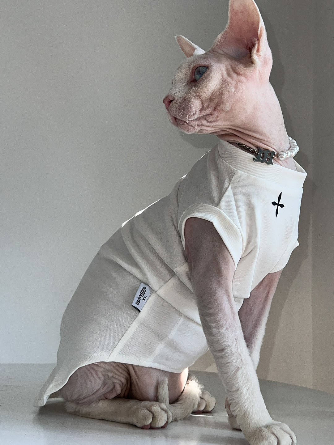 North Star Cap Sleeve Sphynx Cat Tee Shirt