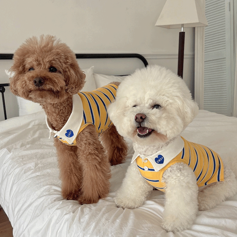 Croy Heart Striped Pet and Owner Matching Polo Tee