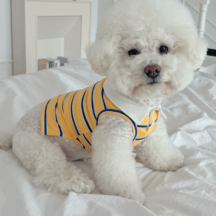 Croy Heart Striped Pet and Owner Matching Polo Tee