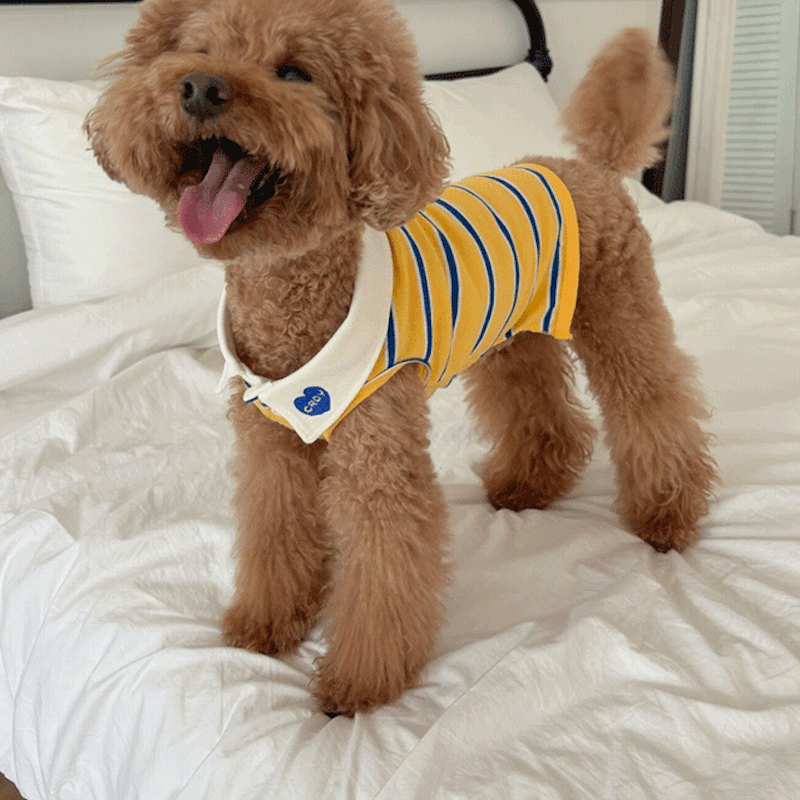 Croy Heart Striped Pet and Owner Matching Polo Tee