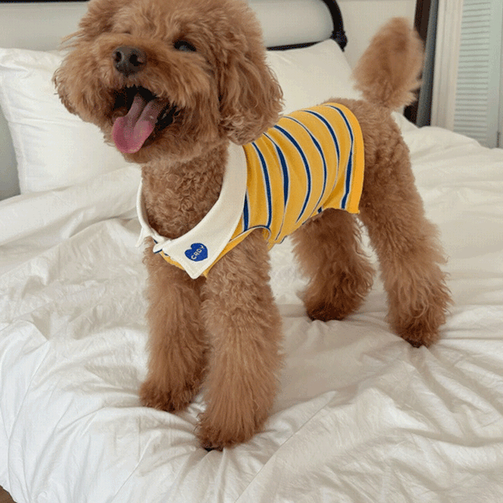 Croy Heart Striped Pet and Owner Matching Polo Tee