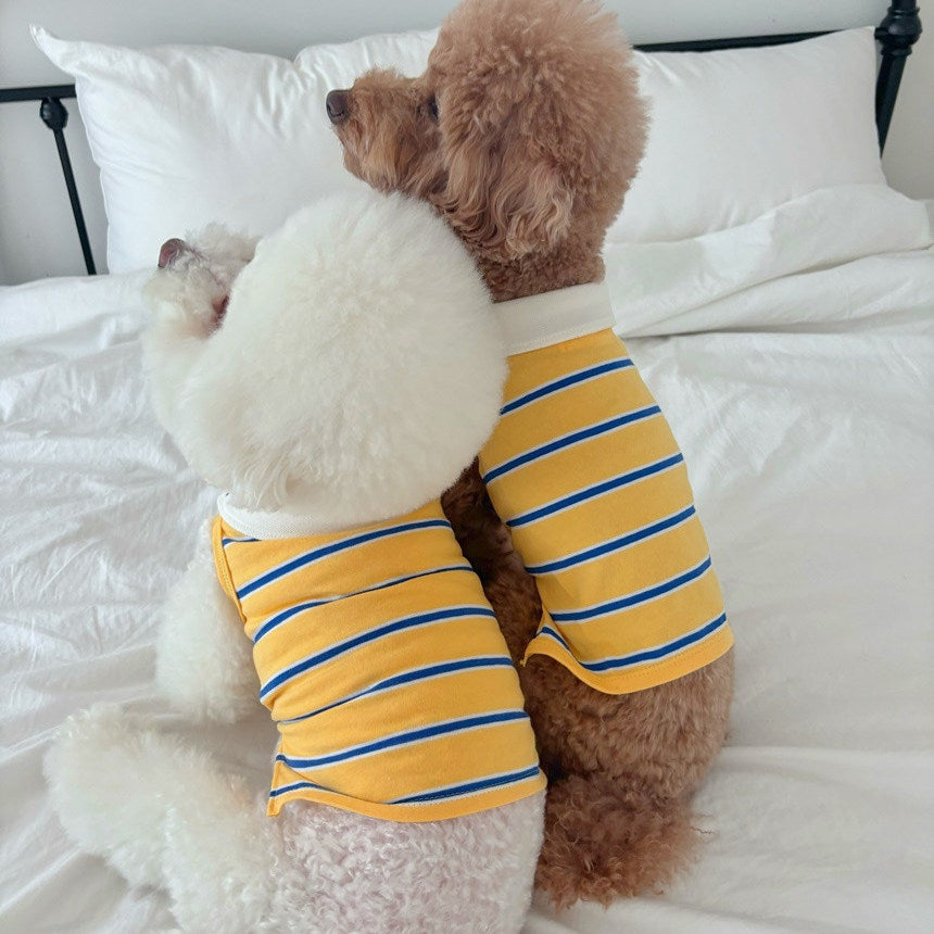 Croy Heart Striped Pet and Owner Matching Polo Tee