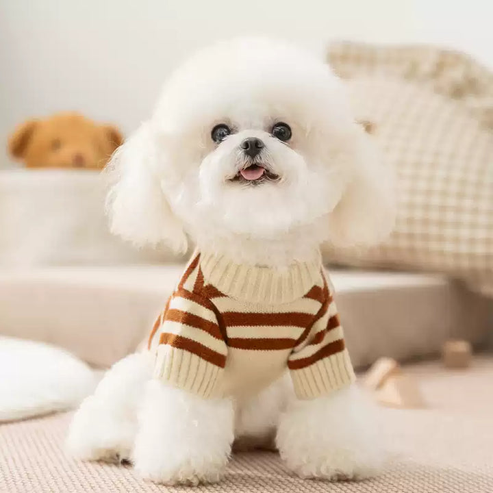 Cute Bear Striped Extra Warm Pet Sweater