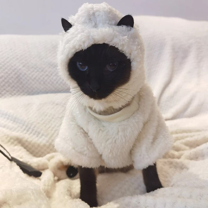 Shaun The Sheep Sphynx Cat Costumes