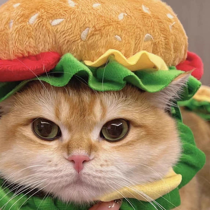 Mcd Hamburger Pet Costume