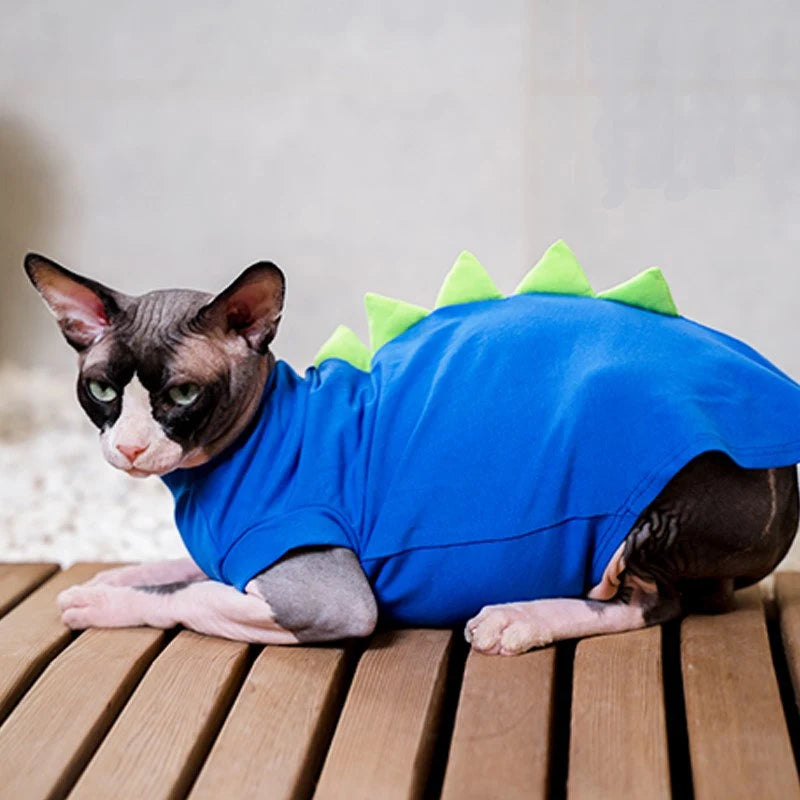 Cat in dinosaur costume hotsell