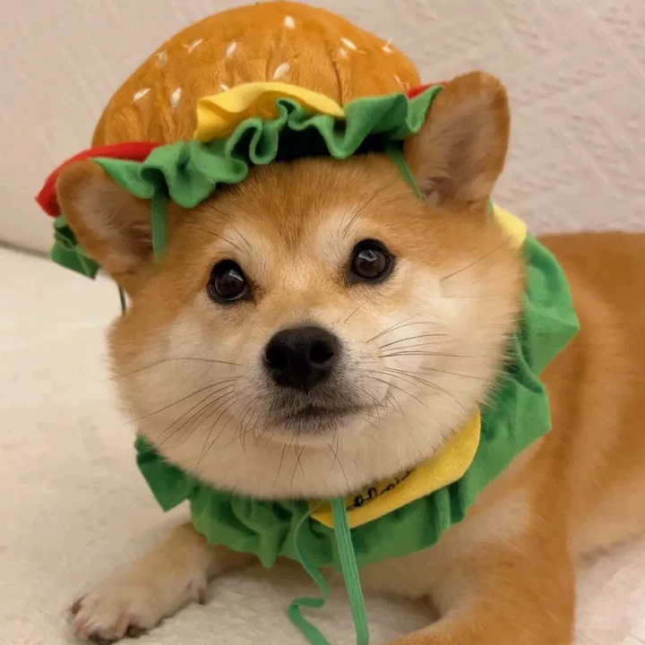 Mcd Hamburger Pet Costume