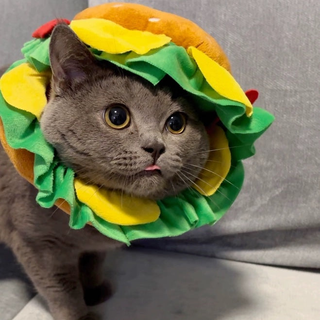 Mcd Hamburger Pet Costume