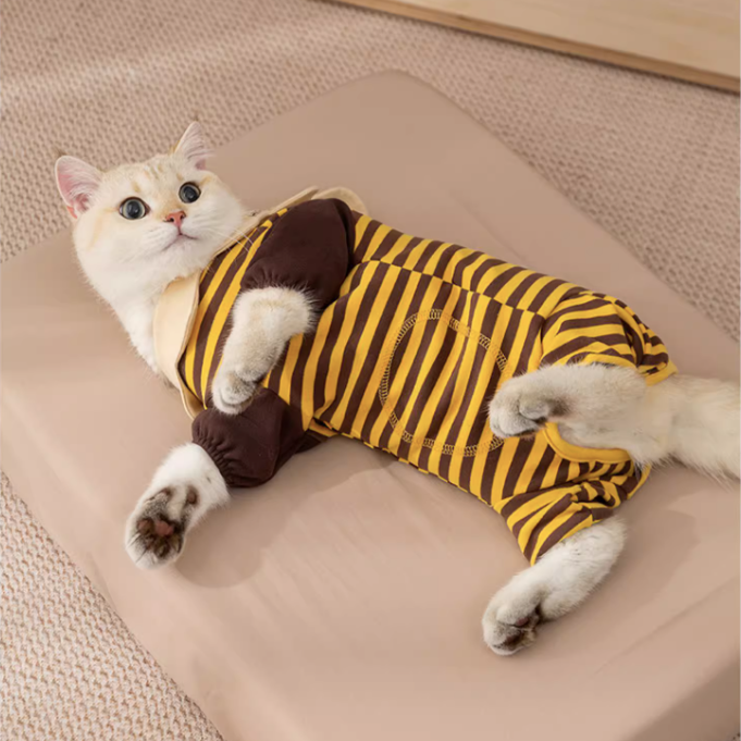 Cute Honey Bee Pet Pajamas Onesie