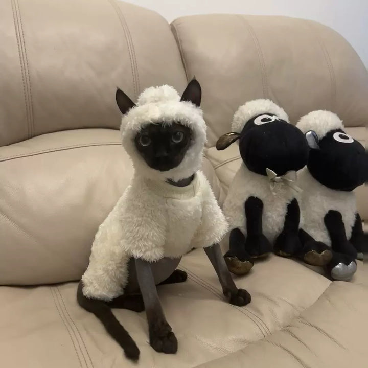 Shaun The Sheep Sphynx Cat Costumes