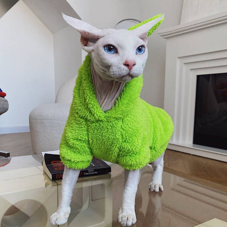 Teletubbies Hoodies Sphynx Cat Costumes